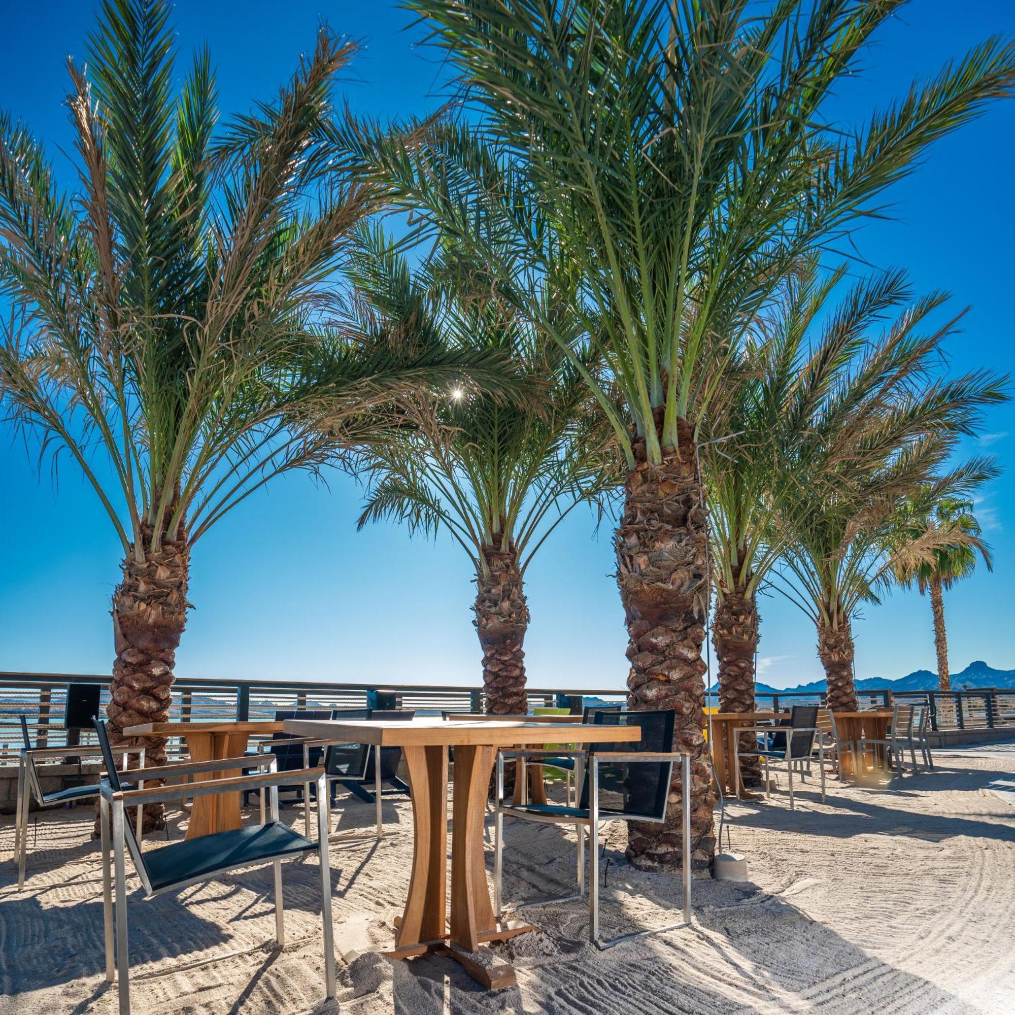 The Nautical Beachfront Resort Lake Havasu City Exterior foto