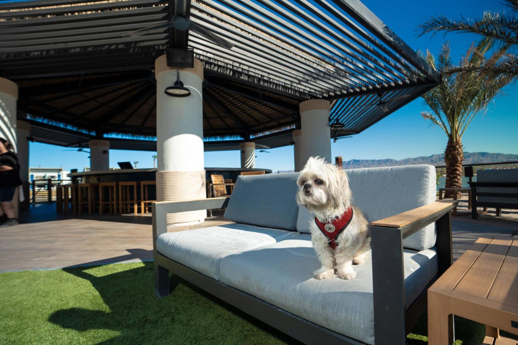 The Nautical Beachfront Resort Lake Havasu City Exterior foto